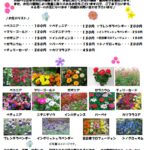 画像：フライルグループより　６月のお花カタログ